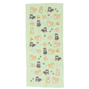 cinemacollection tFCX^I ЖʃK[[vgO^I R[^GR  ~gC V 킢 ObY oXEgCE|