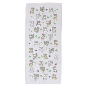 y10OFFN[|I12/11()1:59܂Łzcinemacollection tFCX^I ЖʃK[[vgO^I [NtYLPL  ~gC V 킢 ObY oXEgCE|