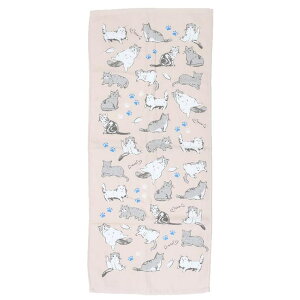 cinemacollection tFCX^I ЖʃK[[vgO^I ɂ񂾂炯PK ˂ ~gC V 킢 ObY oXEgCE|