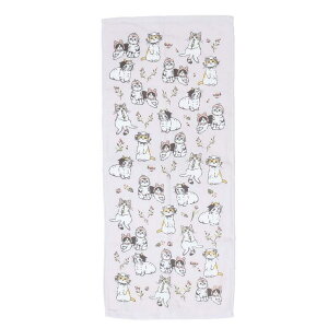 cinemacollection tFCX^I ЖʃK[[vgO^I tYLPL ˂ ~gC V 킢 ObY oXEgCE|