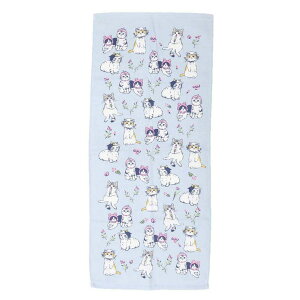 cinemacollection tFCX^I ЖʃK[[vgO^I tYBL ˂ ~gC V 킢 ObY oXEgCE|