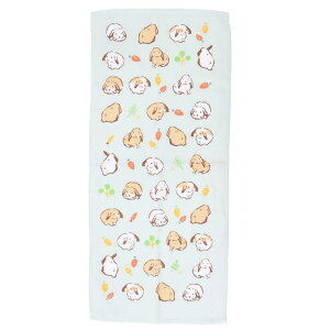 cinemacollection tFCX^I ЖʃK[[vgO^I bvC[MT Aj} ~gC V 킢 ObY oXEgCE|