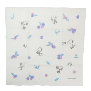 cinemacollection Xk[s[ ӂ ␶nӂ u[x[ s[ibc }Ntg Lb`pi z LN^[ ObY HELb`pi