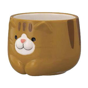 cinemacollection LۂݔL}{  Lۂ Ƃ fR v[g CeA 킢 ObY HELb`pi