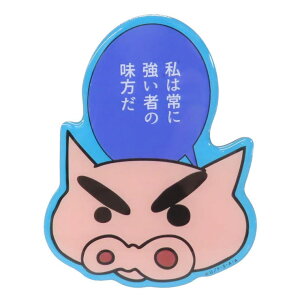 cinemacollection N񂿂  LN^[rbO}Olbg ԂԂ肴  X[vlbg RNVG AjLN^[ ObY HELb`pi