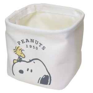 y10OFFN[|I11/11 ()1:59܂Łzcinemacollection Xk[s[ [ \tgXNGA{bNXS CLOSE UP s[ibc J~IWp  LN^[ ObY [EƋ