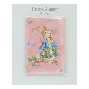 y10OFFN[|I11/27()1:59܂Łzcinemacollection s[^[rbg  }Olbg s[^[Ƃɂ񂶂 Green Flash RNVG G{LN^[ ObY HELb`pi