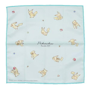 y10OFFN[|I12/11()1:59܂Łzcinemacollection |PbgX^[ `NX ٓitL ݂̂ƃX^[{[ƃsJ`E |P J~IWp `ObY L