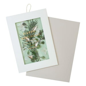 cinemacollection bZ[WJ[h Ebhp[cJ[h o[Xf[/Ip[O[ APJ O[eBOJ[h t[   ObY [