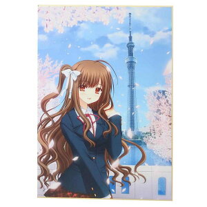 cinemacollection Sub-Culture F wƏjF  APJ bZ[W{[h 񂹏 w  ObY [