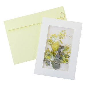 cinemacollection メッセージカード ハーバリウムカード バースデー ナチュラルイエロー APJ お祝い 誕生日 グリーティングカード グッズ 文房具