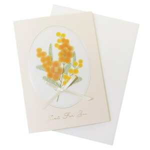 cinemacollection O[eBOJ[h gyt[J[h ړI ~U ANeBuR[|[V bZ[WJ[h MtgJ[h j t ObY [