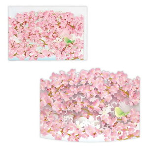 cinemacollection O[eBOJ[h ړI ̃J[h J[u[U[ {z[}[N t bZ[WJ[h ObY [
