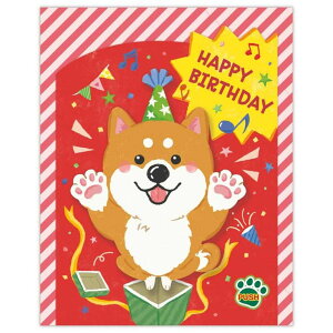 cinemacollection O[eBOJ[h aj IS[   {z[}[N IS[J[h bZ[WJ[h ObY [