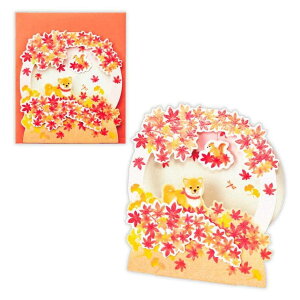 cinemacollection O[eBOJ[h ̃J[h H[X {z[}[N H I[^ bZ[WJ[h ObY [