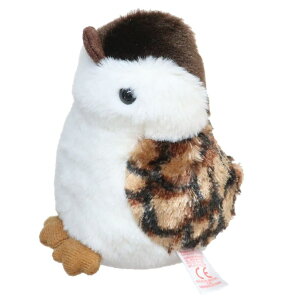 y10OFFN[|I11/27()1:59܂Łzcinemacollection ^CCN ʂ ʂS  Ty Inc. GCR[ v[g ObY t@bVG