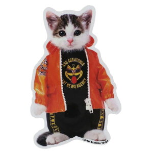 cinemacollection Ȃ߂Ȃ XebJ[ rj[XebJ[ p[J[ ȂߔL [lXebJ[ DECOV[ 킢 LN^[ ObY ʔ Vl}RNV [