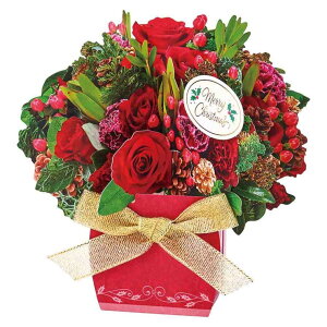 cinemacollection CHRISTMAS O[eBOJ[h NX}XJ[h JX 28-5 t[AWg TI v[g bZ[WJ[h ObY [