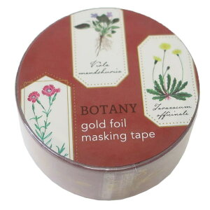 cinemacollection STUDY HOLIC }XLOe[v 20mm}Xe Aw Green Flash fR[V DECOe[v ObY [