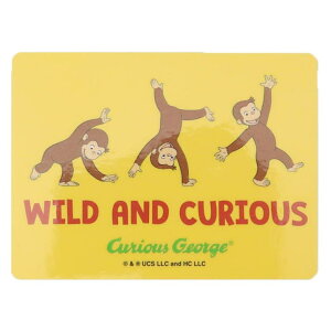 cinemacollection ̃W[W _CJbgV[ _CJbgrj[XebJ[ Ch X[vlbg fRV[ ϐ G{LN^[ ObY [