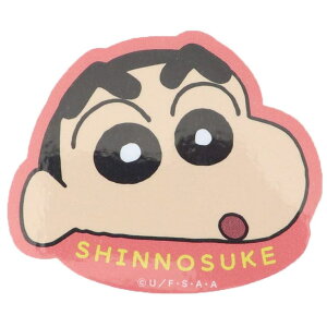 cinemacollection N񂿂 _CJbgV[ _CJbgrj[XebJ[ 񂿂 Abv X[vlbg fRV[ ϐ AjLN^[ ObY [