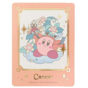 cinemacollection ̃J[rB _CJbgV[ _CJbgXebJ[~j KIRBY zXR[v RNV ɍ GXJC RNVG LN^[ ObY [