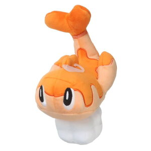 cinemacollection |PbgX^[ ʂ vbVh[S V^c  |P Opf v[g LN^[ ObY t@bVG