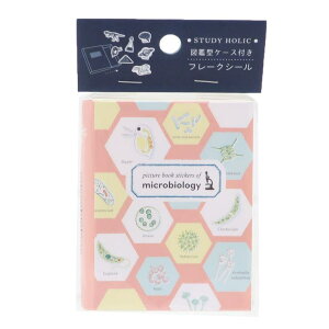 y10OFFN[|I11/11 ()1:59܂Łzcinemacollection STUDY HOLIC t[NV[ }ӌ^P[Xtt[NV[ w Green Flash _CJbgV[ fRV[ fR[V 