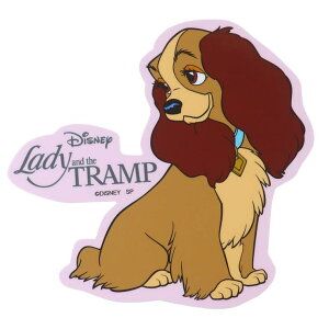 y10OFFN[|I12/11()1:59܂Łzcinemacollection 񕨌 rbOV[ AEghAXebJ[ fB fBYj[ X[vlbg rj[XebJ[ fRV[ ϐ ό L