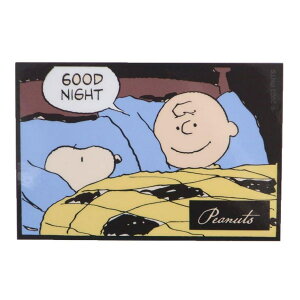 y10OFFN[|I12/11()1:59܂Łzcinemacollection Xk[s[ _CJbgV[ LN^[XebJ[ ObhiCg s[ibc X[vlbg _CJbgrj[XebJ[ fRV