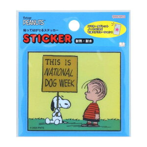 cinemacollection Xk[s[ _CJbgV[ \Ă͂XebJ[ PNPC2 Ŕ s[ibc TX^[ ϔM ϐ LN^[ ObY [