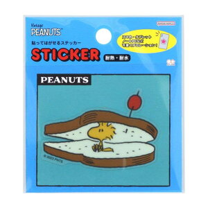 cinemacollection Xk[s[ _CJbgV[ \Ă͂XebJ[ PNPC2 ThEBb` s[ibc TX^[ ϔM ϐ LN^[ ObY [