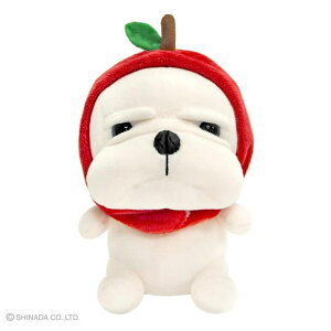 y10OFFN[|I11/11 ()1:59܂Łzcinemacollection Ȃ vbVh[ ʂ STCY  Vi_O[o l` }XRbg LN^[ ObY t@bVG