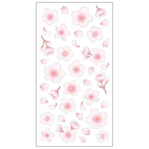 cinemacollection V[ aV[  N[Ys fR[V Mtg XebJ[ ObY [