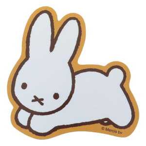 cinemacollection ~btB[ V[ AEghAXebJ[  fBbNu[i X[vlbg fRV[ fRXebJ[ Mtg G{LN^[ ObY [