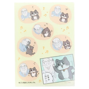 cinemacollection ˂ɓ] A4NAt@C NAt@C A4 ̑ Vw TX^[ ސ wZ 킢 LN^[ ObY [