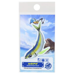 cinemacollection ނXsbc _CJbgV[ _CJbgXebJ[ AW [lXebJ[ ϐό fRXebJ[ LN^[ ObY [