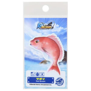 cinemacollection ނXsbc _CJbgV[ _CJbgXebJ[ }_C [lXebJ[ ϐό fRXebJ[ LN^[ ObY [