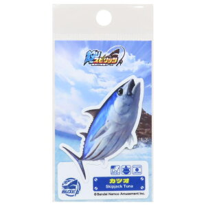 cinemacollection ނXsbc _CJbgV[ _CJbgXebJ[ JcI [lXebJ[ ϐό fRXebJ[ LN^[ ObY [