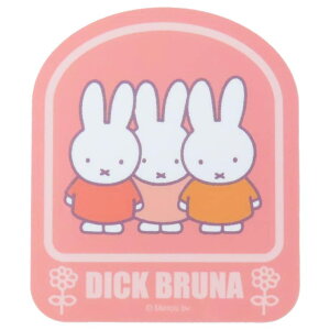 cinemacollection ~btB[ _CJbgV[ LN^[XebJ[  fBbNu[i X[vlbg fRV[ ϐ G{LN^[ ObY [