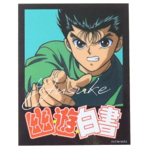 cinemacollection HV _CJbgV[ LN^[XebJ[ H S NWv X[vlbg fRV[ ϐ AjLN^[ ObY [