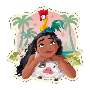 cinemacollection fBYj[vZX LN^[XebJ[ zOXebJ[A fBYj[ CbN fRV[ LN^[ ObY [