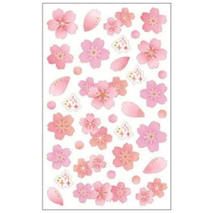 cinemacollection V[V[g sDzV[ ߂ N[Ys fR[V 蒠fR ObY [