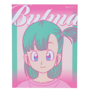 cinemacollection hS{[ _CJbgV[ LN^[XebJ[ u} PK X[vlbg _CJbgrj[XebJ[ fRV[ ϐ AjLN^[ ObY [