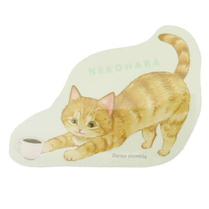 cinemacollection ˂n _CJbgV[ _CJbgXebJ[ g ˂ ObY wXeCt fRV[ 킢 ObY [