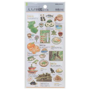 cinemacollection V[V[g l̐}ӃV[ a̎R J~IWp 蒠fR fR[V ObY [