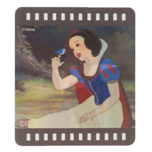 cinemacollection P _CJbgV[ `FWOfRXebJ[ ƔP fBYj[vZX J~IWp fRV[ LN^[ ObY [