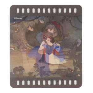 cinemacollection P _CJbgV[ `FWOfRXebJ[ PƐX̓ fBYj[vZX J~IWp fRV[ LN^[ ObY [