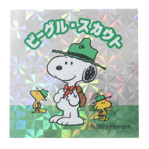 cinemacollection Xk[s[ XebJ[ RLXebJ[ r[O XJEg s[ibc J~IWp fRV[ LN^[ ObY [