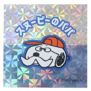 cinemacollection Xk[s[ XebJ[ RLXebJ[ Xk[s[̃pp s[ibc J~IWp fRV[ LN^[ ObY [